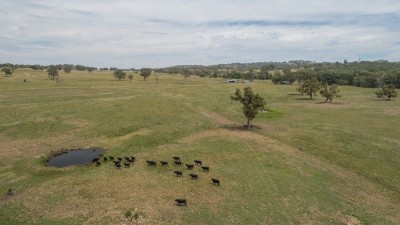Devoncourt NSW
