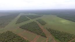 Kingfisher Station NT