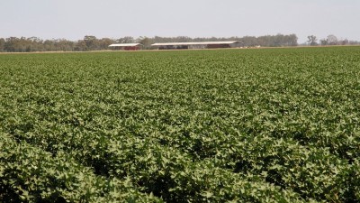 Paddy’s River Aggregation NSW