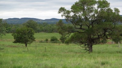 Colanya QLD