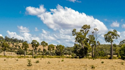 Flag Springs QLD