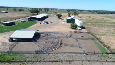 Wilbidgee Beef Feedlot Complex NSW