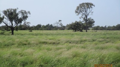 Glendon Station QLD