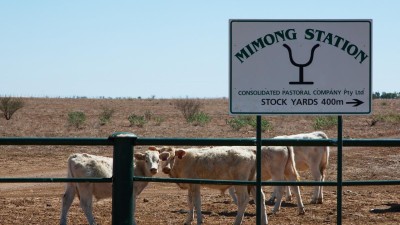 Mimong Station QLD