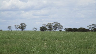 Upshot Station QLD