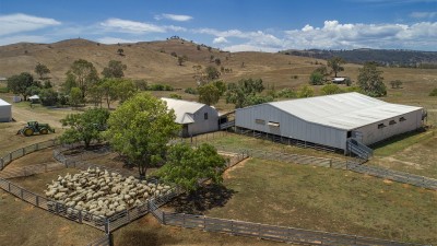 Wing Vee NSW