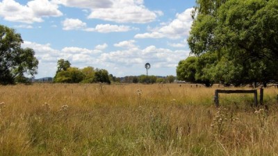 Alice Downs NSW