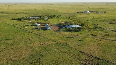 Hereward QLD