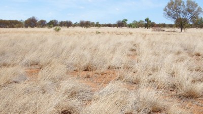 Mount Skinner Station NT
