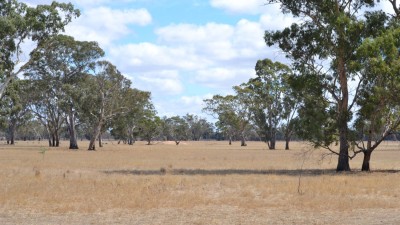 Munga Park SA