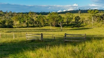Roslyn QLD
