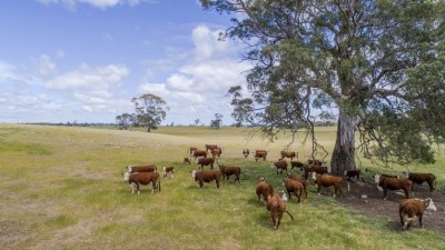 Mundulla Aggregation SA