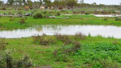 Sandford Park QLD