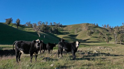 Scotts Creek NSW