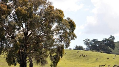 Tillararra NSW