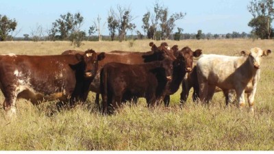 Cheriton QLD