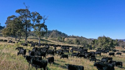 Gibbergunyah NSW