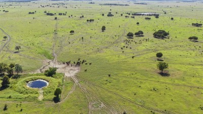 Iluka QLD