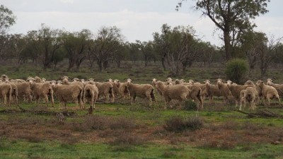 Mundiwa & Twin Rivers NSW