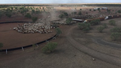 Murranji Station NT