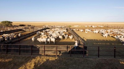 Ucharonidge Station NT