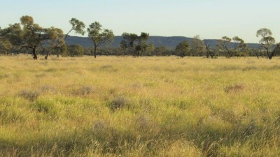Waroona Aggregation QLD