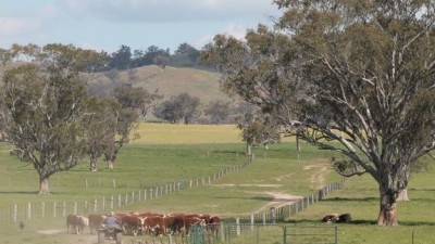 Banoon NSW