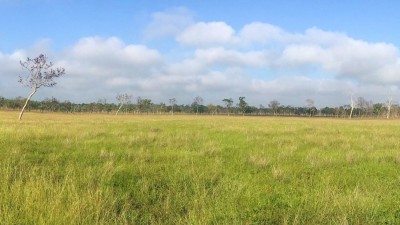 Bluff Downs QLD
