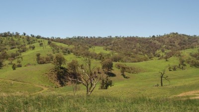 Noonameena Aggregation NSW
