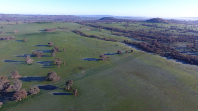 Ascot NSW