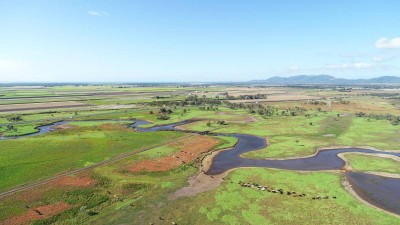 Drays Family Aggregation QLD