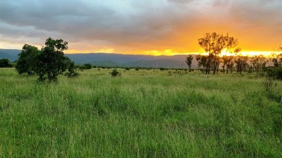 Granitevale Station QLD