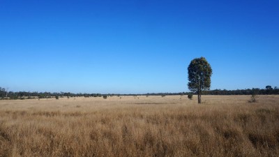 Grosvenor Downs QLD