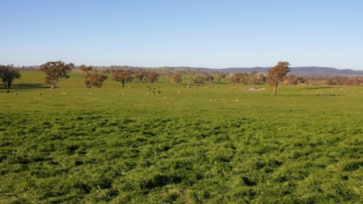 Gundaline NSW