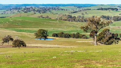 Linden Park NSW
