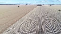 Prospect Downs Aggregation NSW