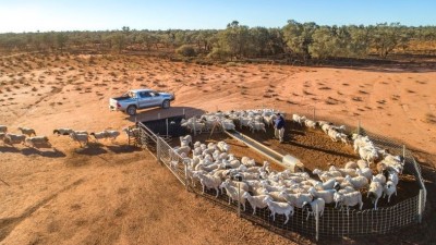 Canegrass Station SA