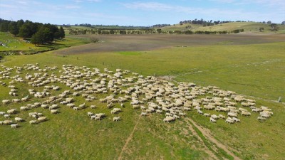 Dunns Plains NSW