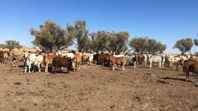Retreat QLD