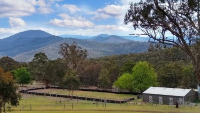 Ben Cruachan Pastoral VIC