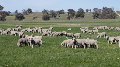 Jindalee NSW