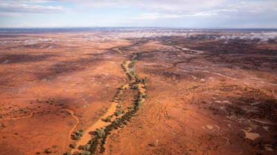Langidoon & Metford NSW