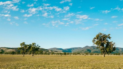 Lochiel Downs NSW