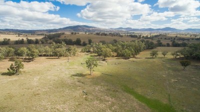 Tawarri NSW