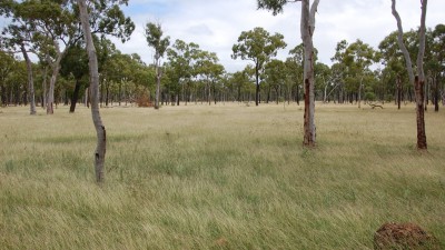 Marionvale QLD