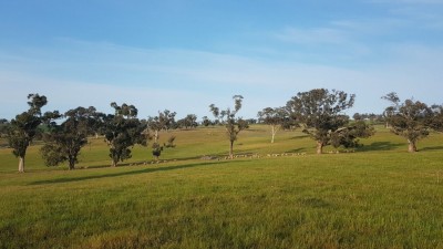 Uplands NSW