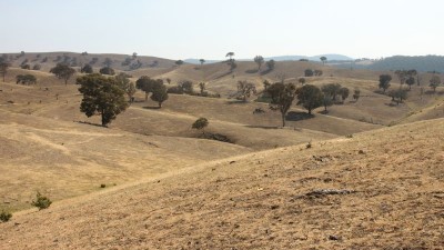 Waratah NSW