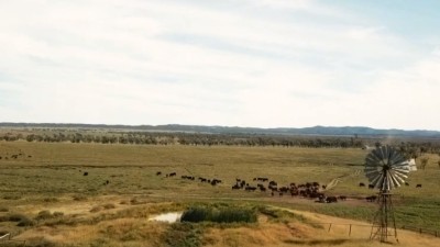 Mantuan Downs QLD
