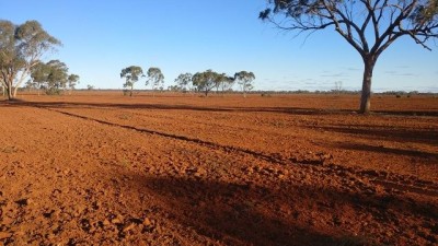 Gilgunnia Station NSW