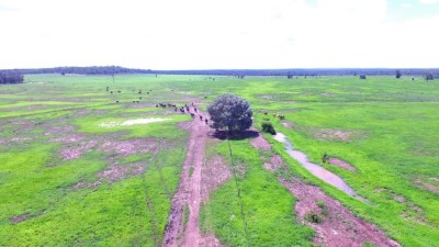 Bellevue QLD